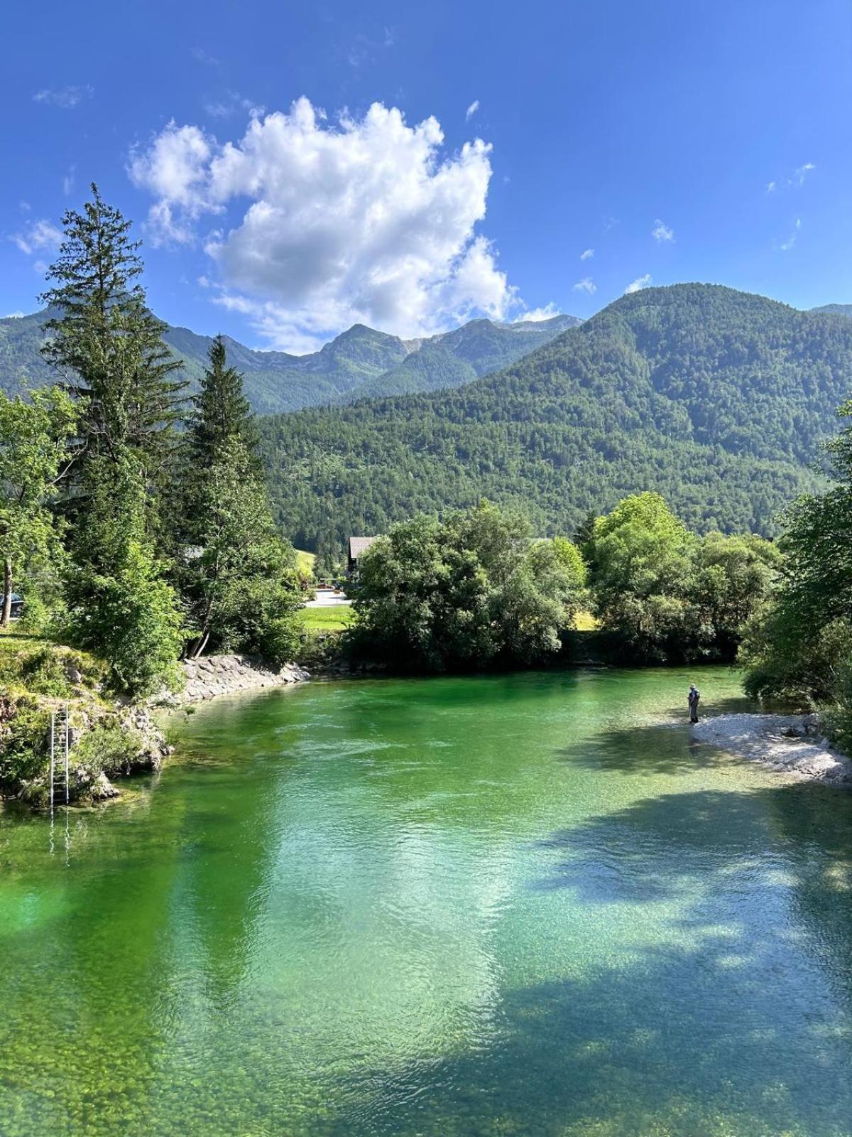 Vila Nina Bohinj ภายนอก รูปภาพ