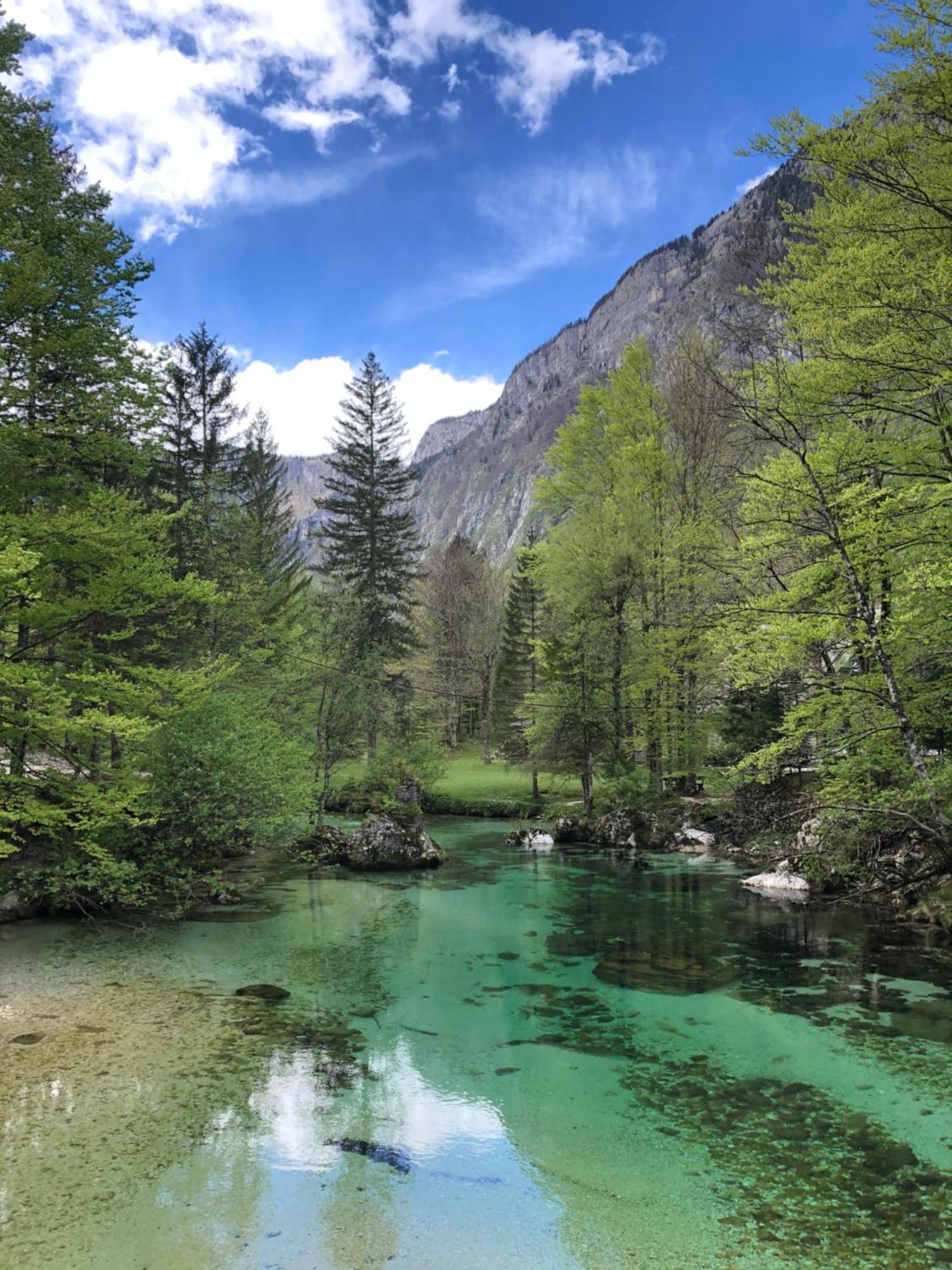 Vila Nina Bohinj ภายนอก รูปภาพ